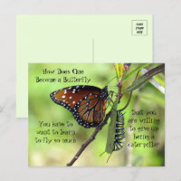 Carte Postale Monarch Butterfly & Caterpillar Quot
