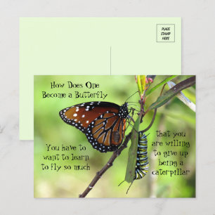 Carte Postale Monarch Butterfly & Caterpillar Quot