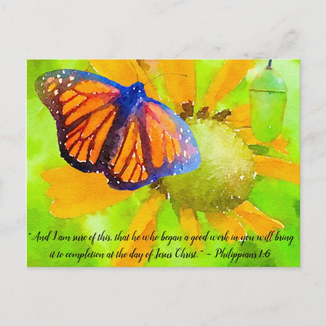 Carte Postale Monarch Butterfly et Chrysalis Philippians 1:6 (Devant)