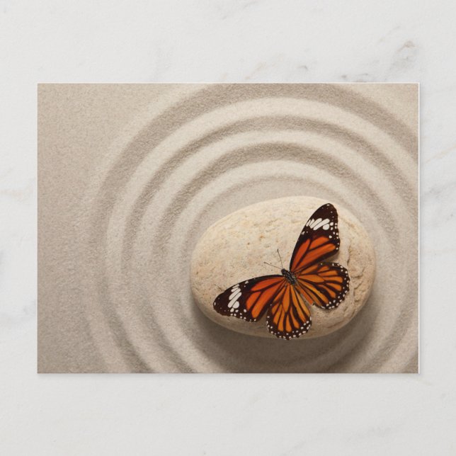 Carte Postale Monarch Butterfly on a Stone in a Zen Garden (Devant)