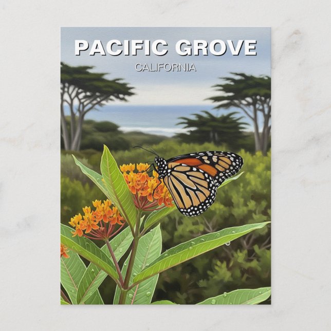 Carte Postale Monarque papillon Pacific Grove California Travel (Devant)