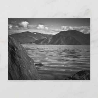 CARTE POSTALE ~ Monarques verts le long du lac Pen