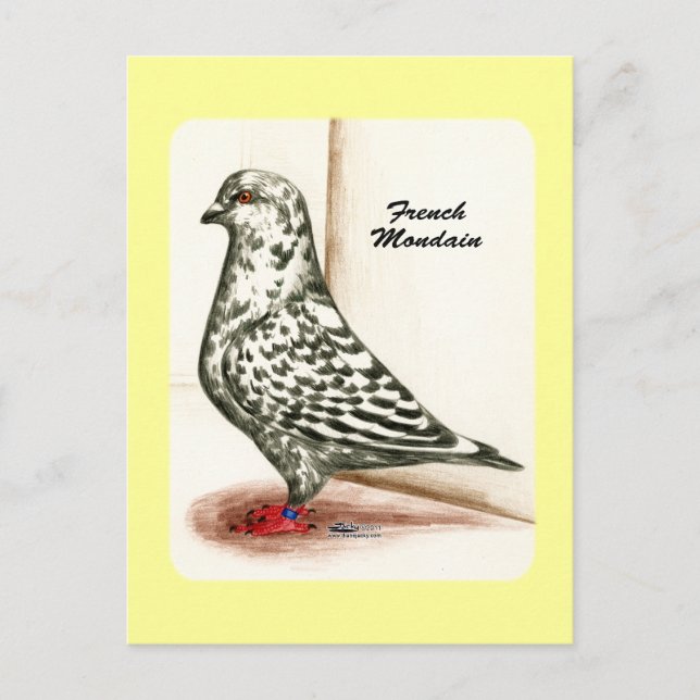 Carte Postale Mondain français 1973 (Devant)