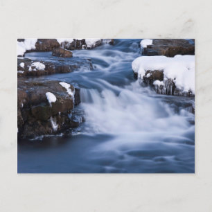 Carte Postale Monde de neige #3