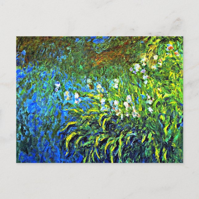 Carte Postale Monet - Iris à la mer Rose Pond (Devant)
