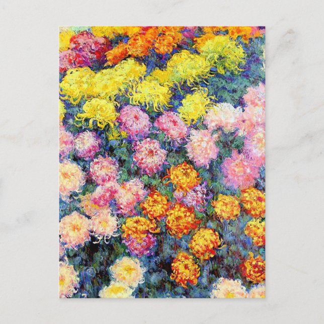 Carte Postale Monet, lit de Chrysanthemums, (Devant)