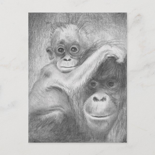 Carte Postale Monkey (Devant)