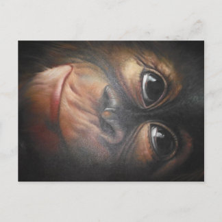 Carte postale Monkey
