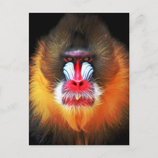 Carte Postale monkey