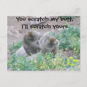 Carte Postale Monkey Business