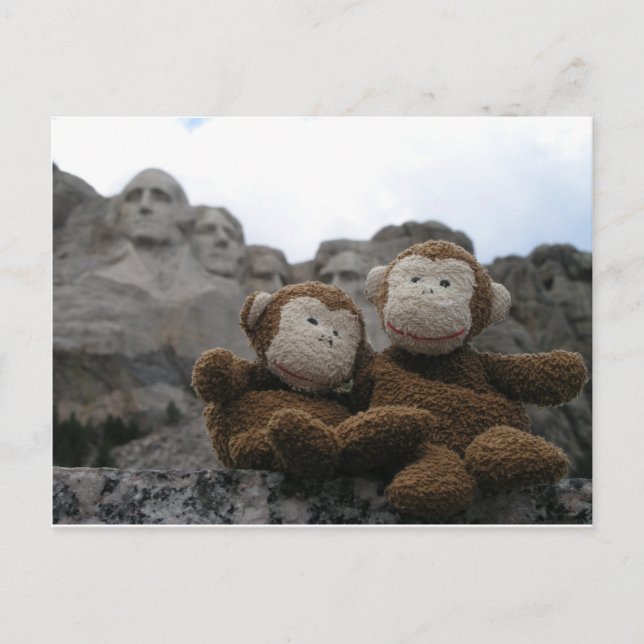 Carte Postale monkey_chimp_rushmore.JPG (Devant)