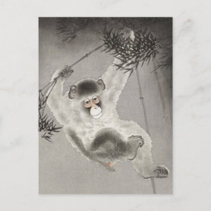 Carte Postale Monkey Hanging de la branche de Bambou par Ohara K