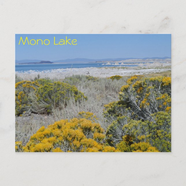Carte Postale Mono Lake, Californie (Devant)