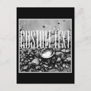 CARTE POSTALE MONOCHROME BEACH PHOTO SHELL STONES SABLE PERSONNA