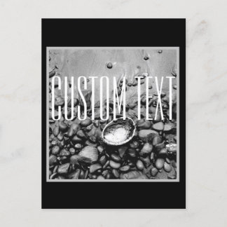 CARTE POSTALE MONOCHROME BEACH PHOTO SHELL STONES SABLE PERSONNA