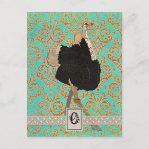 Carte postale Monogramme d'autruche orange