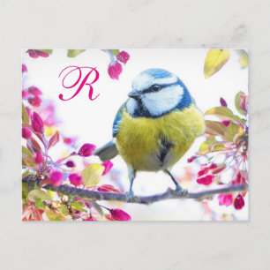 Carte Postale Monogramme d'oiseaux printaniers