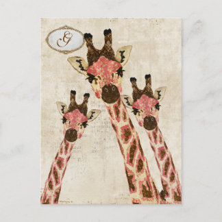 Carte postale Monogramme Rosa & Copper Giraffes
