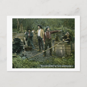 Carte Postale Monshine Toujours dans le vieux Kentucky 1908 Vint