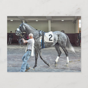 Carte Postale Monsieur Monolo