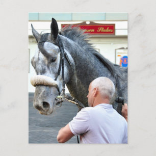 Carte Postale Monsieur Monolo