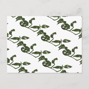 Carte Postale Monstera Adanosii Fromage Plante Motif vert