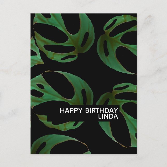 Carte Postale Monstera Plante Motif Illustration Feuille Anniver (Devant)