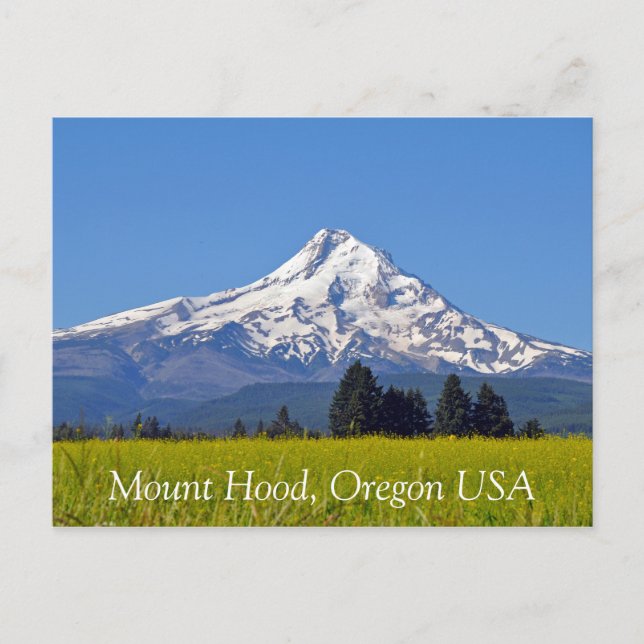 Carte Postale Mont Hood en Oregon USA (Devant)