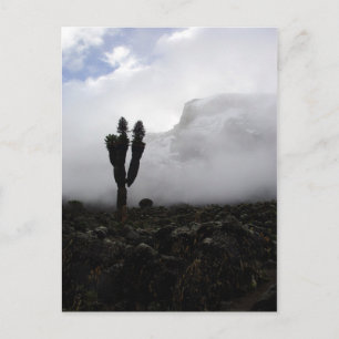 Carte Postale Mont Kilimandjaro (portrait)