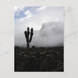 Carte Postale Mont Kilimandjaro (portrait)