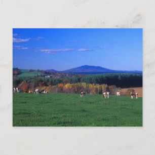 Carte Postale Mont Monadnock de Templeton MA