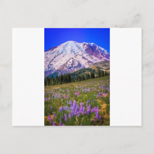 Carte Postale Mont Rainier