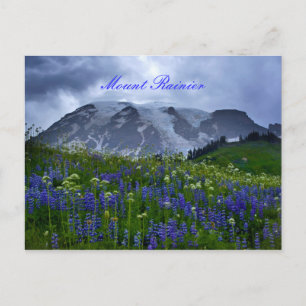 Carte postale Mont Rainier