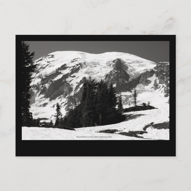 Carte Postale Mont Rainier en juin (Devant)