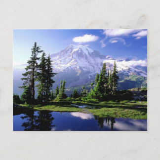 Carte Postale Mont Rainier Washington