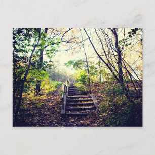 Carte Postale Mont-Royal automne