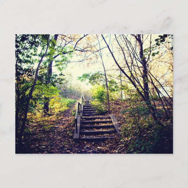 Carte Postale Mont-Royal automne (Devant)