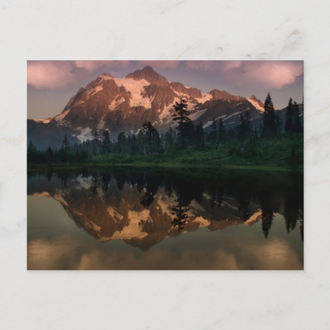 Carte Postale Mont Shuksan (Devant)
