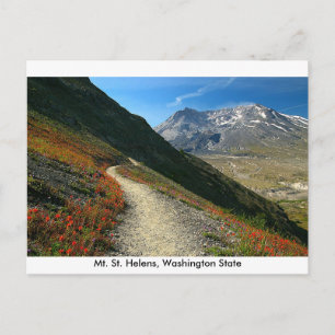 Carte Postale Mont St. Helens État de Washington