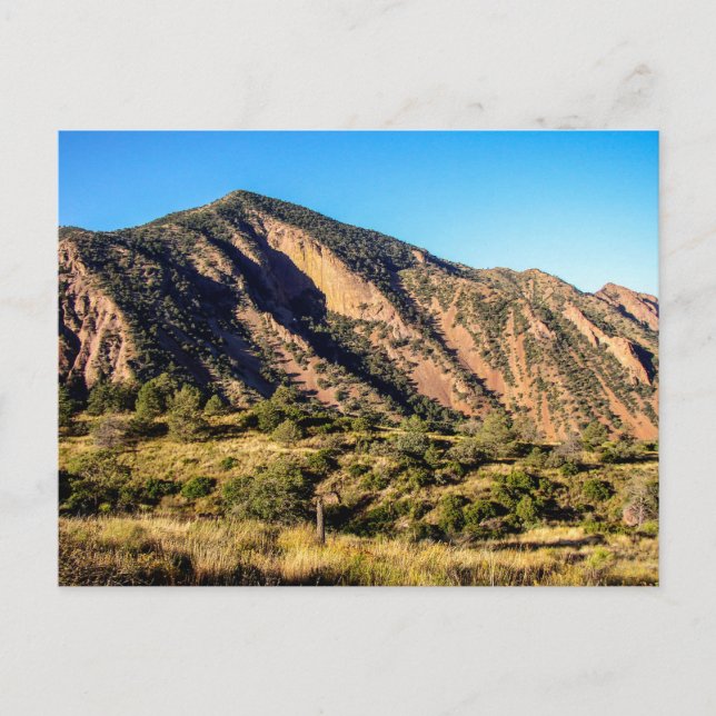 Carte Postale Mont Ward, Parc national de Big Bend, Texas (Devant)