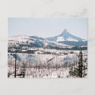 Carte Postale Mont Washington du col Santiam