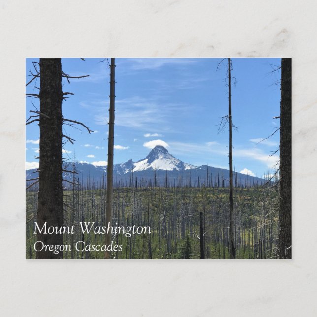 Carte Postale Mont Washington, Oregon (Devant)