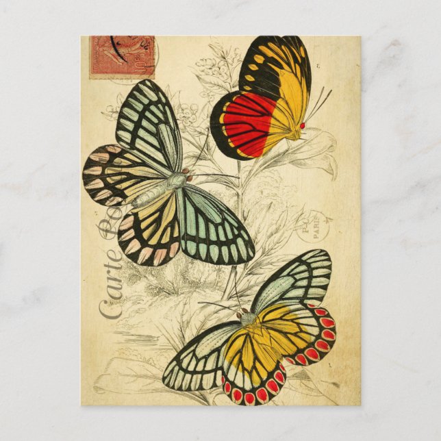 Carte Postale Montage de papillons français Vintages (Devant)