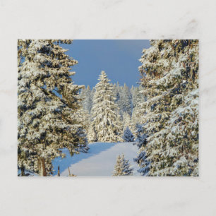 Carte Postale Montagne du Jura par coucher de soleil hivernal, S