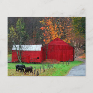 Carte Postale Montagne Hunter