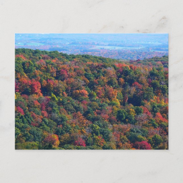 Carte Postale Montagnes Appalaches en automne (Devant)