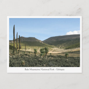 Carte Postale Montagnes Bale Éthiopie