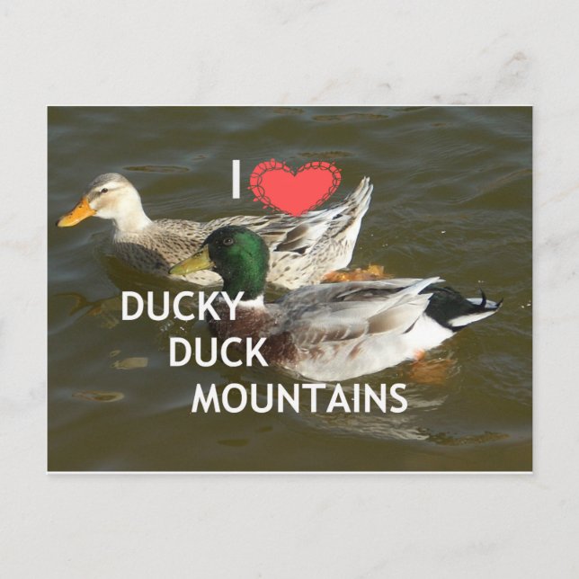 Carte Postale Montagnes de canard Ducky. (Devant)