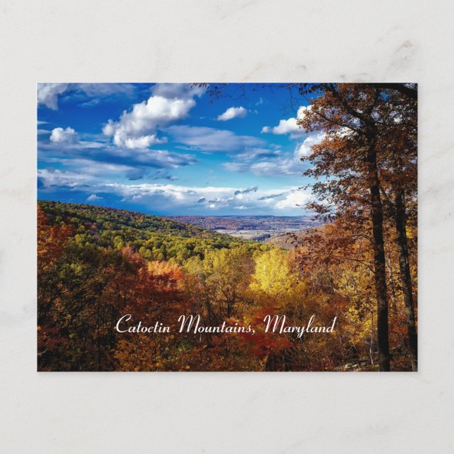 Carte Postale Montagnes de Catoctin, Maryland (Devant)
