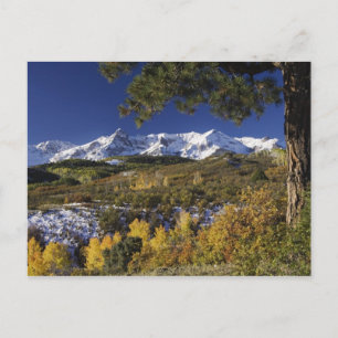 Carte Postale Montagnes de San Juan et arbres d'Aspen en couleur